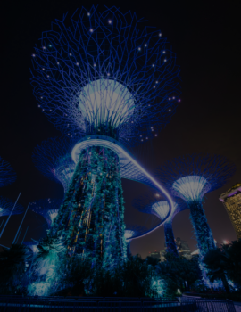 Argentina Travel Guide